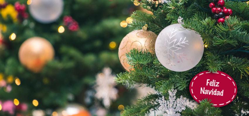 Christmas Tree Ornaments
