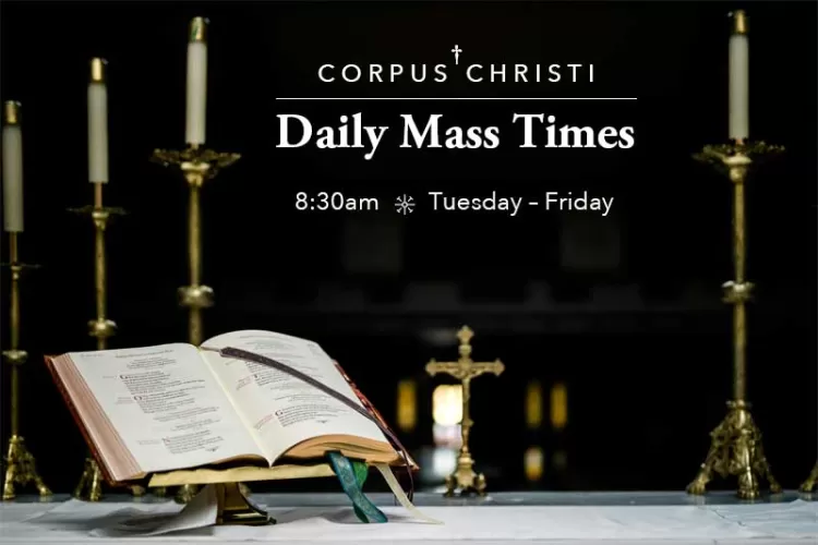 Regular Schedule returns Daily Mass Schedule